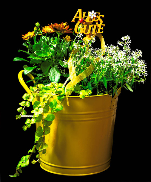 Παρόντες με λουλούδια σε κίτρινο κουβά. Γερμανικό κείμενο: Alles Gute, που σημαίνει το καλύτερο - Φωτογραφία, εικόνα