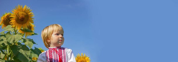 ένα μικρό αγόρι σε ένα Ουκρανικό κεντημένο πουκάμισο δίπλα σε ηλιοτρόπια στον ουρανό με ένα χώρο αντιγραφής. πανό για την ημέρα της ανεξαρτησίας της Ουκρανίας, πατριωτισμός και εθνικές γιορτές. - Φωτογραφία, εικόνα
