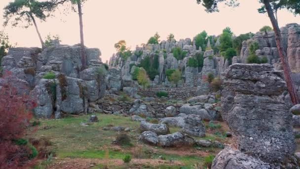 Fenséges táj lenyűgöző szürke sziklaformációkkal és tűlevelű fákkal. - Felvétel, videó