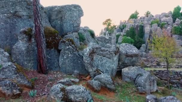 Festői kőzetképződmények buja zöld fenyőfákkal a hegyi völgyben. - Felvétel, videó