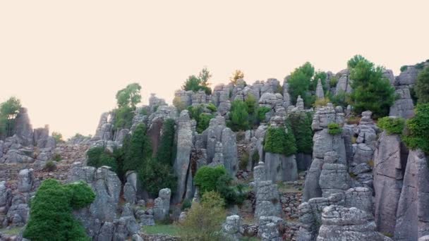 Stunning landscape with amazing gray rock formations and coniferous trees. - Footage, Video