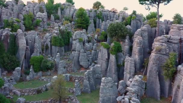 Landscape scenery with gray rock formations and evergreen lushes. - Footage, Video