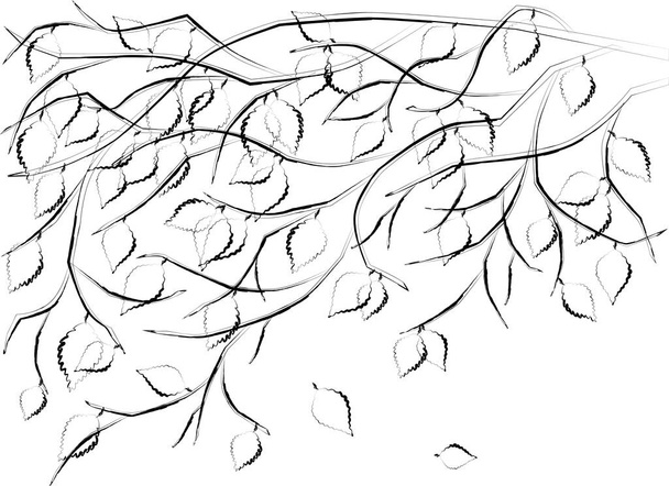 葉を持つ落葉樹枝の輪郭ベクトル描画 - ベクター画像