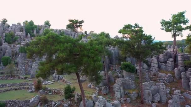 Aerial view of picturesque rock formations and pine trees on a summer day. - Footage, Video