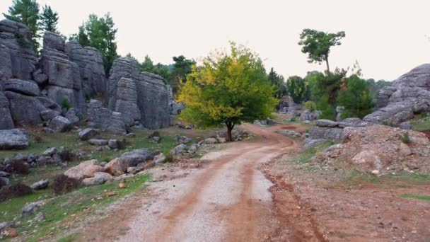 Szürke kőzetképződmények és tűlevelű fák a vidéki hegyi út mentén. - Felvétel, videó