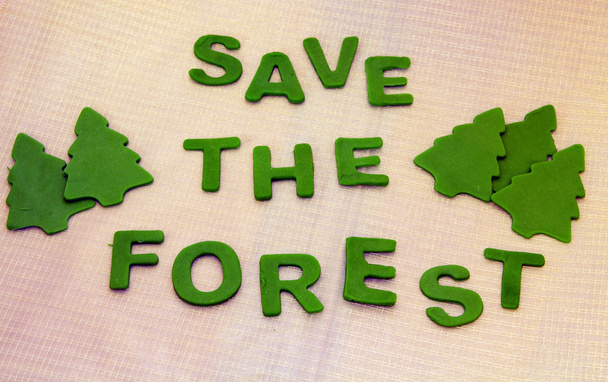 Save the forests - Foto, Bild