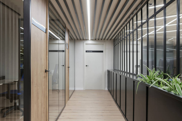 A wooden hallway interior design with glass walls and plants on the side - Fotoğraf, Görsel