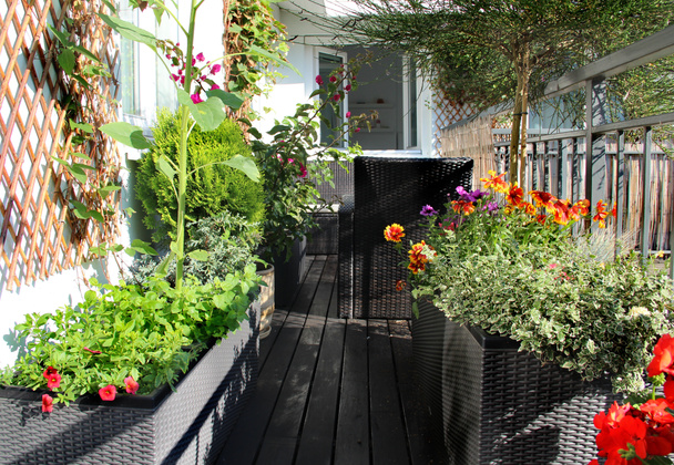 Mezcla de hermosas flores de terraza vívidas
 - Foto, Imagen