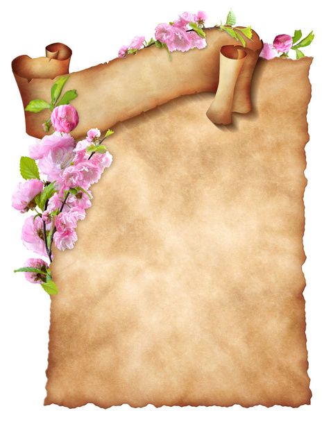 Лист старой бумаги с кудрявым баннером и цветочным декором
 - Фото, изображение