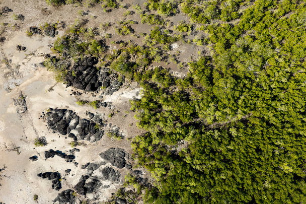 Εναέρια τοπίο της ακτογραμμής σε χαμηλή παλίρροια δείχνει άμμο και λάσπη επίπεδα. Cape Hilsborough, Κουίνσλαντ, Αυστραλία - Φωτογραφία, εικόνα