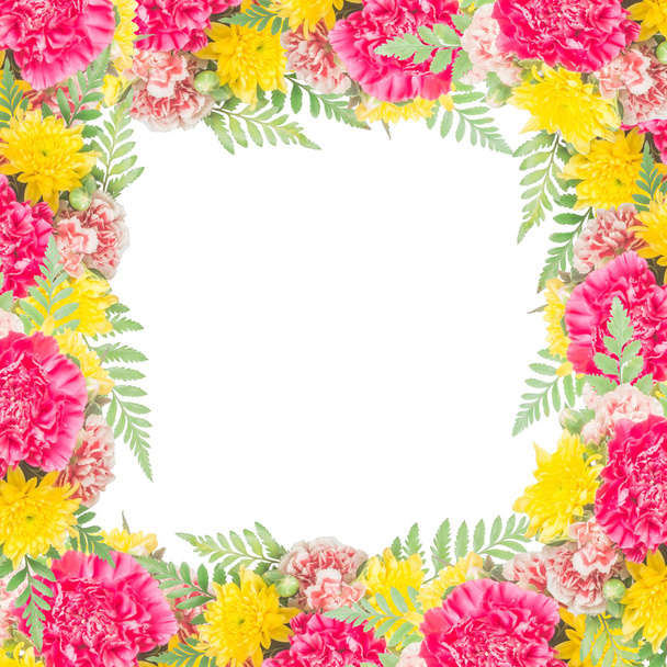 Ramillete de flores de clavel aisladas
 - Foto, Imagen