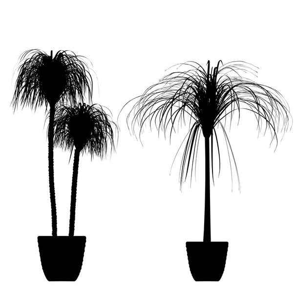 vnitřní palm stromy design - detailní vektor - Vektor, obrázek
