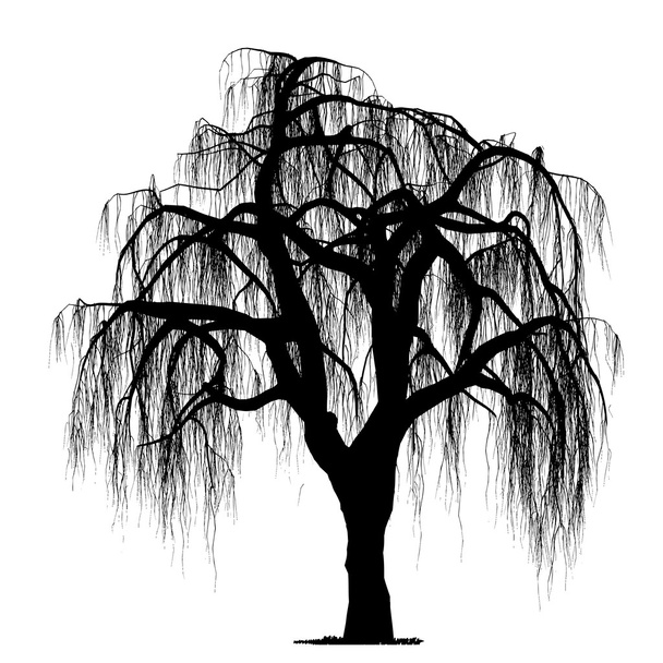 vektorové kreslení stromu - detailní vektor - Vektor, obrázek