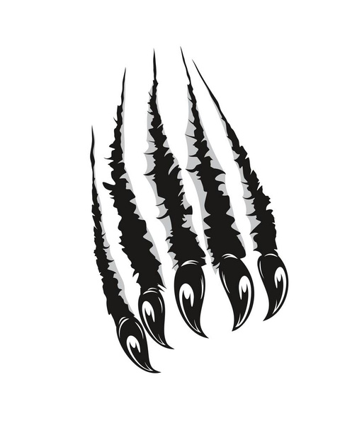 Grizzly bear claw marks scratches. Predator animal, monster or wild beast sharp claws ripping paper or breaking through wall. Halloween vector background with werewolf claws marks - Vektor, obrázek