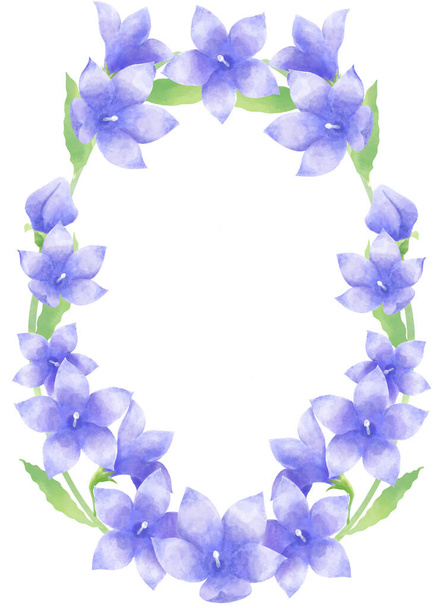 Watercolor style, bellflower flower decoration material illustration (Vertical position) - Photo, Image