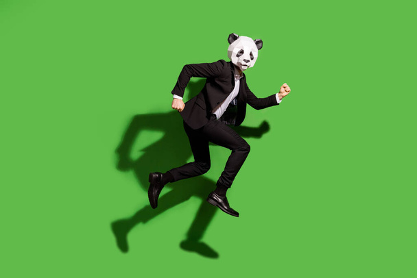 Full length body size view of classy chic motivated man wearing panda mask jumping running isolated over bright green color background - Foto, immagini
