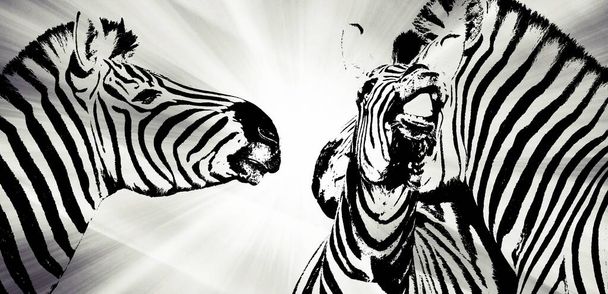 Κοντινό πλάνο μιας παιχνιδιάρικης ομάδας μονόχρωμων Zebras - Φωτογραφία, εικόνα