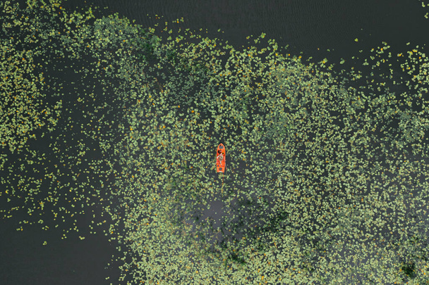Aerial drone view. Fishing boat among water lilies in the river. - Photo, Image