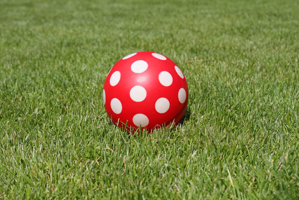 plastic ball in the garden - Фото, изображение