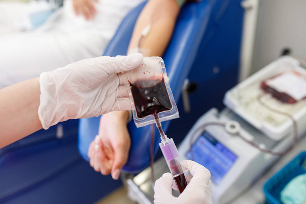 pobieranie próbek krwi w laboratorium, oddawanie krwi, opatrunek, - Zdjęcie, obraz