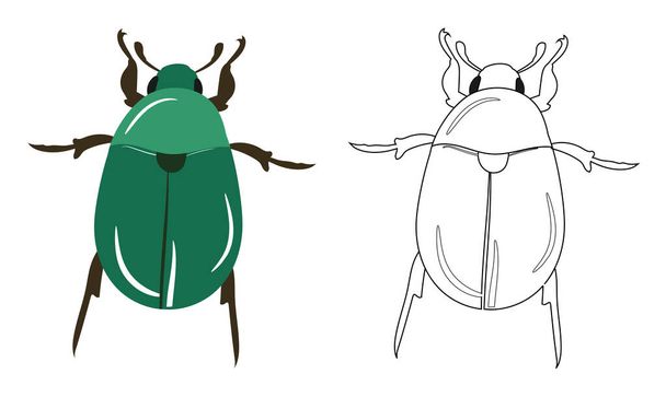Beetle or Coleoptera Vector Illustration Fill and Outline Isolated on White Background. Insects Bugs Worms Pest and Flies. Entomology or Pest Control Business graphic elements. - Vector, Image