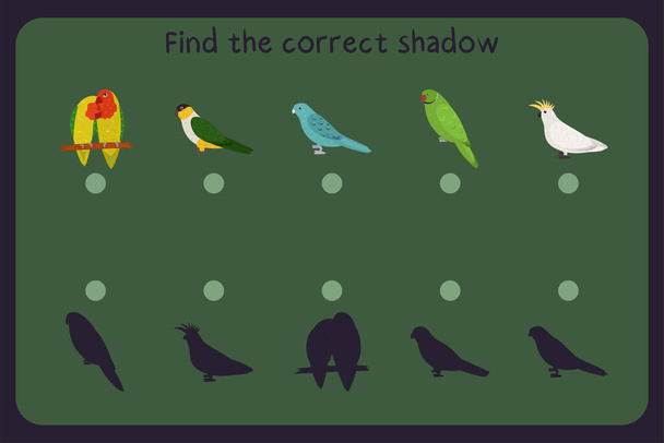Matching children educational game with parrots - lovebird, black headed, barred parakeet, rose ringed, cockatoo. Find the correct shadow. - Vektor, Bild