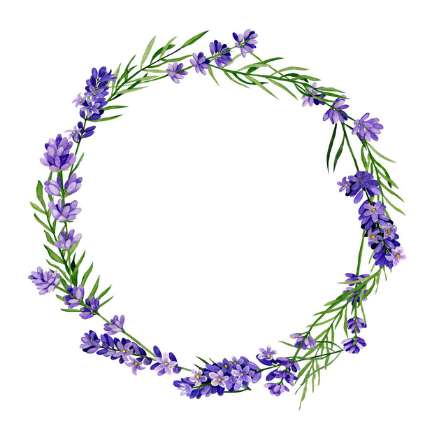 Watercolour hand drawn flowers. Lavender wreath. - Foto, Imagen