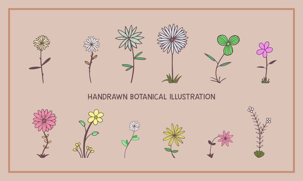 Hand drawn flowers illustration.Different colors and styles. - Vektor, Bild
