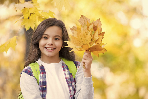 happy teenage child playing with fallen maple leaves in autumn forest with beautiful seasonal nature carry school bag, school time - Zdjęcie, obraz