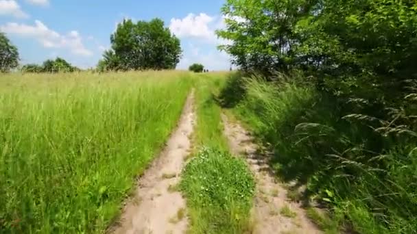 Beautiful summer road and sunny weather - Felvétel, videó