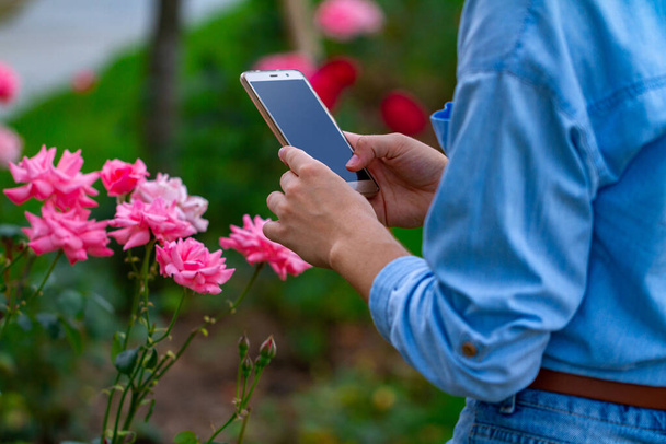 A tourist takes a photo of a rose on his phone while walking in a city park. Gardening and beautification of the city - Foto, Bild
