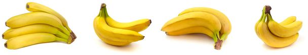 Collection set of photo bananas isolated on white background - Photo, Image