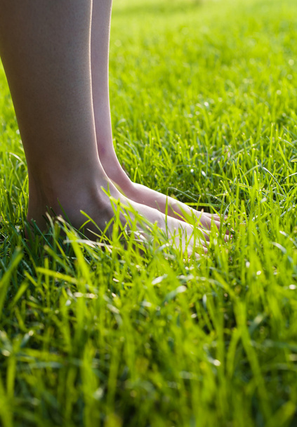 Foot in the grass. - 写真・画像