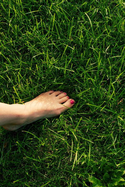 Bare feet on green grass - 写真・画像