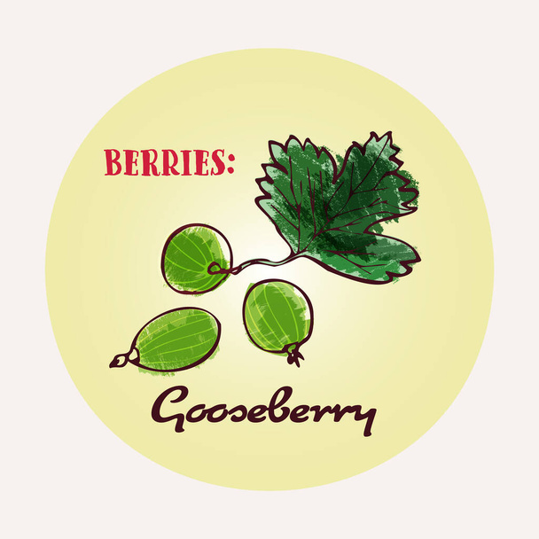 Gooseberry line art and color hand-drawn vector illustration. Rough crayon strokes doodle in an expressive loose coloring book style - Διάνυσμα, εικόνα