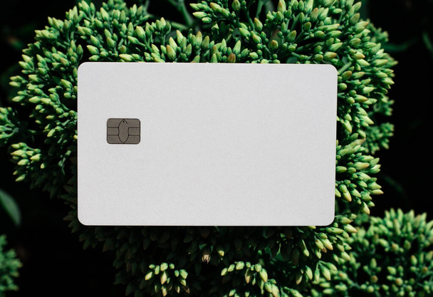 Tarjeta de crédito blanca en blanco con un lugar para escribir en el fondo de las plantas de color verde oscuro - Foto, imagen
