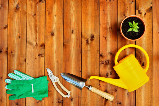 Copyspace frame with gardening tools and objects on old wooden background - Photo, Image