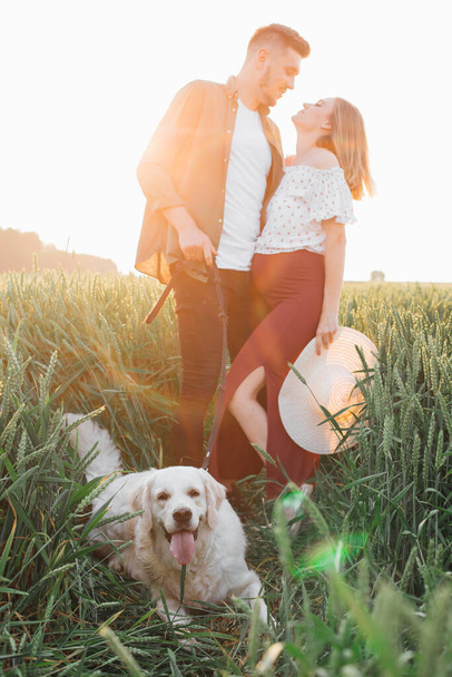  夕方の太陽を設定する線では、誰もが満足している:若い妊娠中のカップルと彼らの大きな白い犬。妊婦さん。家族と妊娠。愛と優しさ。幸福と静けさ。レジャー活動. - 写真・画像