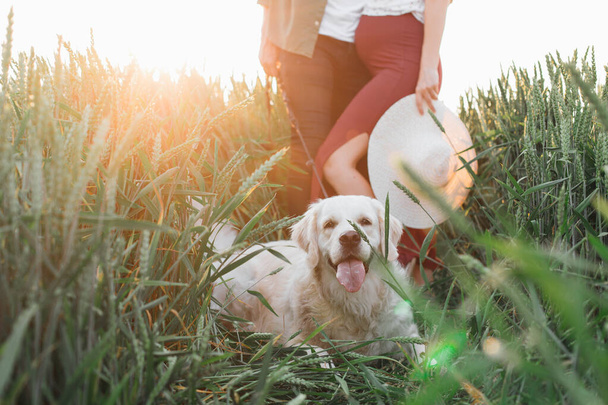  Touching moments of happy expectation of new life. Walking in nature with dog . Young pregnant couple.Pregnant woman . Family and pregnancy. Love and tenderness. Happiness and serenity.  - Foto, afbeelding