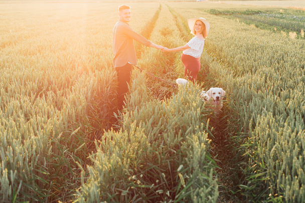 Νεαρό έγκυο ζευγάρι στέκεται κρατώντας τα χέρια στη μέση του πεδίου, μεγάλο λευκό σκυλί τους συνοδεύει. Έγκυος. Οικογένεια και εγκυμοσύνη. Ευτυχία και γαλήνη. Φύση και υγεία.  - Φωτογραφία, εικόνα