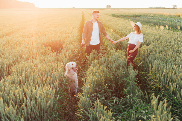 Beautiful young pregnant couple walks in fields with their white labrador. Pregnant woman . Family and pregnancy. Love and tenderness. Happiness and serenity. Taking care of a new life. Family values. - Foto, immagini