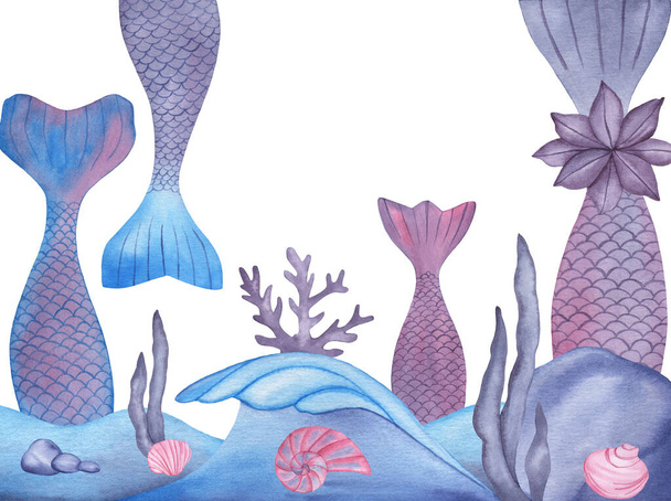 Zeemeermin staarten, zeewier, koralen, schelpen compositie op witte achtergrond - Foto, afbeelding
