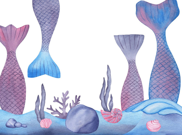 Zeemeermin staarten, zeewier, koralen, schelpen compositie op witte achtergrond - Foto, afbeelding