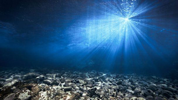 Beautiful and artistic underwater photo of rays of sunlight over the bottom of the deep blue ocean.  - Foto, Imagen