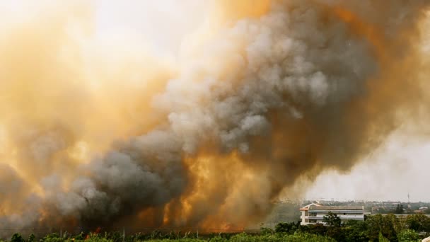 bosbranden in de stad, in thailand. - Video