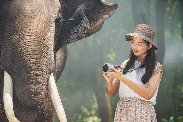 Un jeune touriste asiatique photographie un éléphant dans la forêt de Surin, en Thaïlande.  - Photo, image