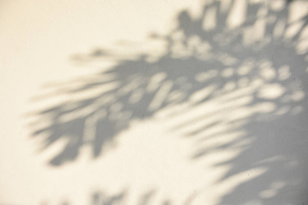 shadow background of sun shining through wood - Fotó, kép