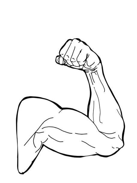 Hombre del deporte, musculoso brazo fuerte, ilustración, línea de arte. - Foto, Imagen