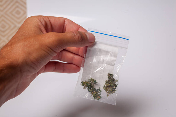 hand with pack of marijuana - Фото, изображение