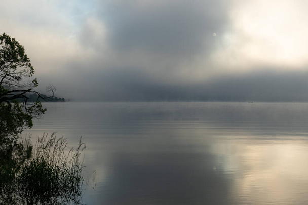 Una mattina presto a Lac de Joux, Svizzera: Bellissimo scenario con nebbia e sole che sorge - Foto, immagini